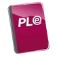 Accounting ledger PLE - SUNAT (Perú)